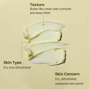 TORRIDEN SOLID IN Ceramide Cream 70ml